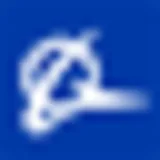 Boeing India logo